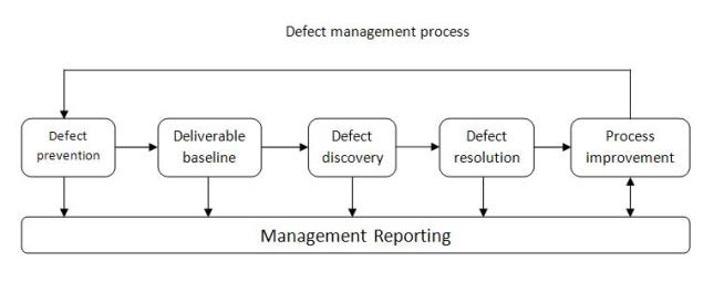 Defect management process